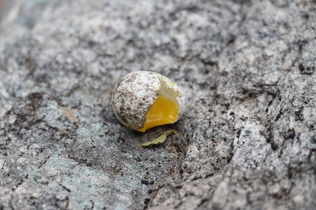 Untitled by Simon Perchik