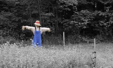 The Scarecrow by Phillip Englund