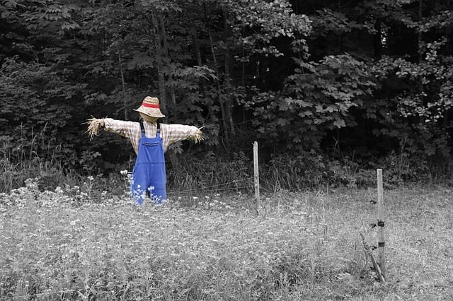 The Scarecrow by Phillip Englund