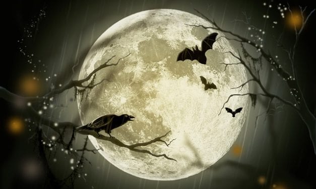A Halloween Haiku by Robert Baldwin