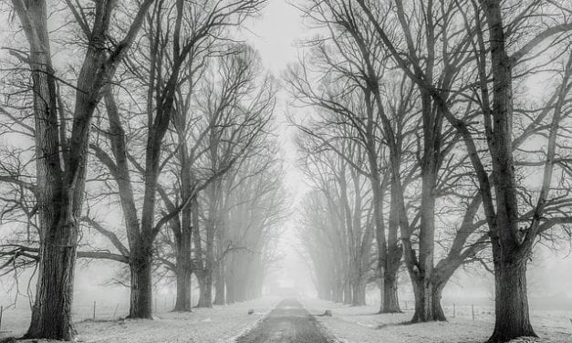 Just Past Noon by Annette Gagliardi